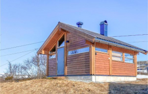 Awesome home in Geilo with 1 Bedrooms Geilo